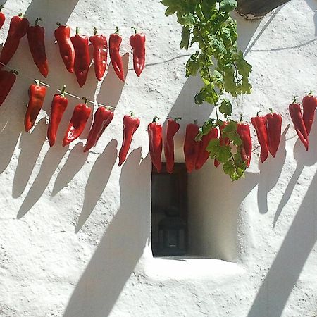 Hotel Rural Cortijo La Alberca Níjar エクステリア 写真