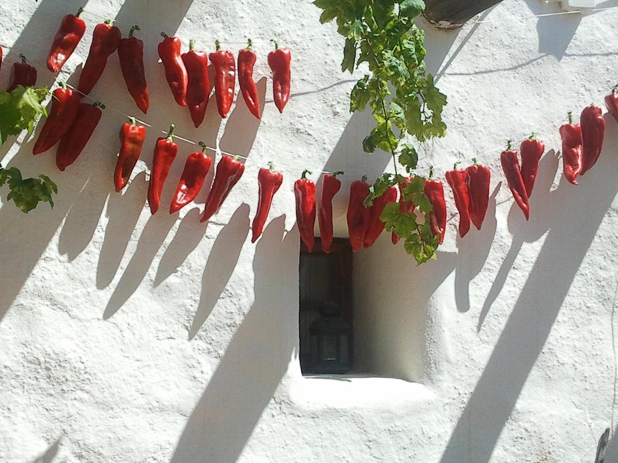 Hotel Rural Cortijo La Alberca Níjar エクステリア 写真