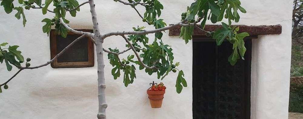 Hotel Rural Cortijo La Alberca Níjar エクステリア 写真