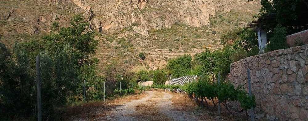 Hotel Rural Cortijo La Alberca Níjar エクステリア 写真
