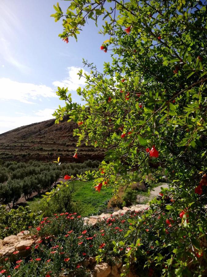 Hotel Rural Cortijo La Alberca Níjar エクステリア 写真