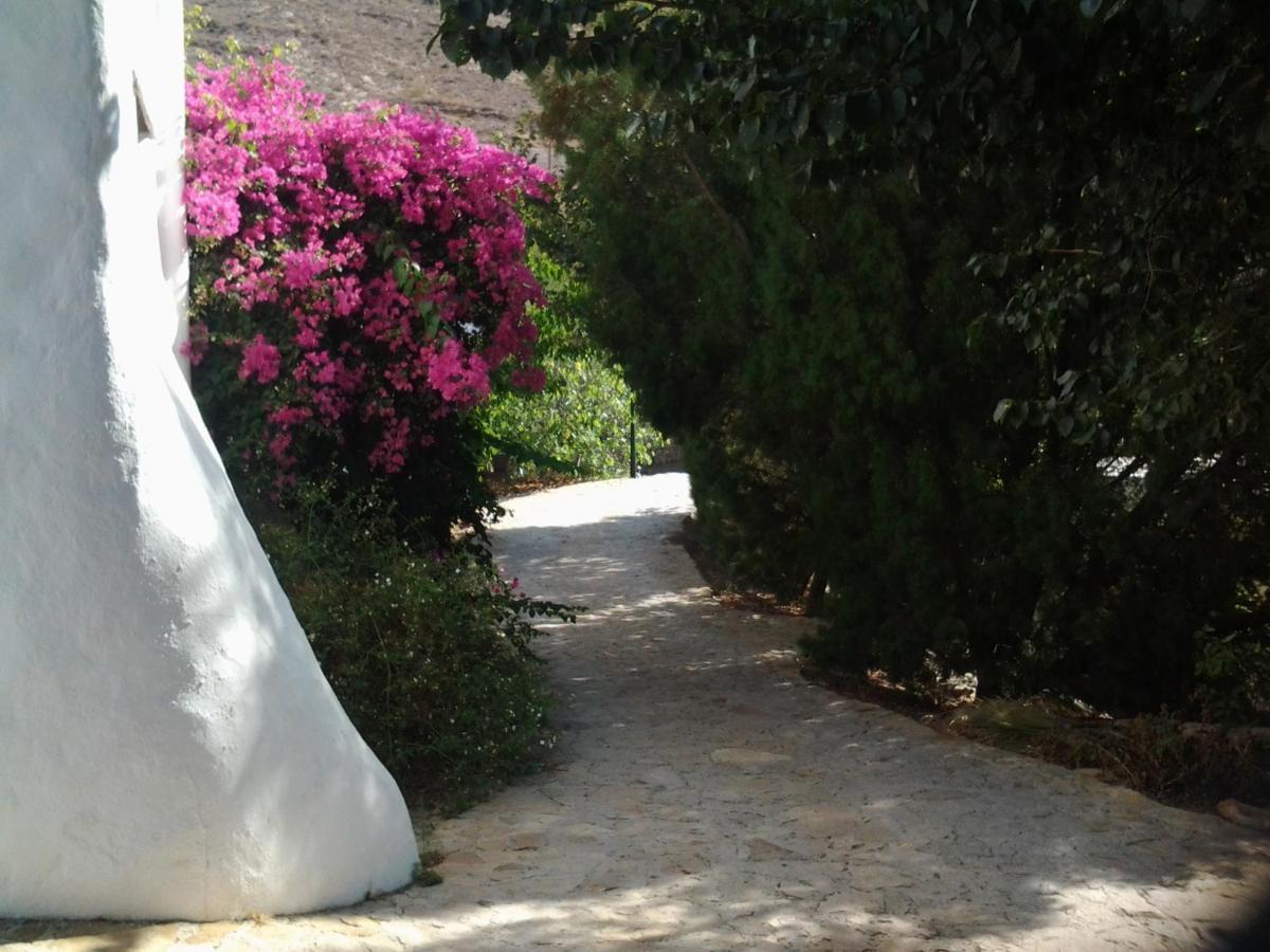 Hotel Rural Cortijo La Alberca Níjar エクステリア 写真